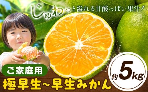 みかん 訳あり 極早生 早生 ご家庭用 サイズ不選別 約5kg《11月上旬-12月初旬頃出荷》徳島県 佐那河内村 わけあり みかん 柑橘類 わけありフルーツ 果物 フルーツ お取り寄せフルーツ