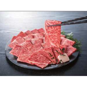 銀座吉澤 宮城県 加美町産 仙台牛 リブロース 焼肉 セット（500g） [ 宮城県 加美町 ]  牛肉 牛 リブロース サーロイン 焼き肉 焼肉