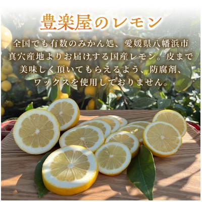 ふるさと納税 八幡浜市 【防腐剤・ワックス不使用で安心】真穴産地直送のレモン　5kg×2箱(S~Lサイズ)【H98-10】