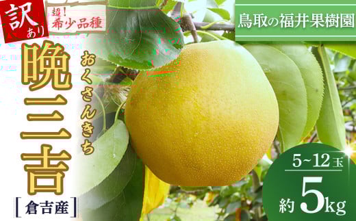 【訳あり】【期間限定】【生産者応援品】令和8年産 希少梨 晩三吉 5kg（5～12玉） 倉吉産 福井果樹園 おくさんきち 梨 なし ナシ ブランド梨 冬梨 希少品種 果物 フルーツ 和梨 数量限定