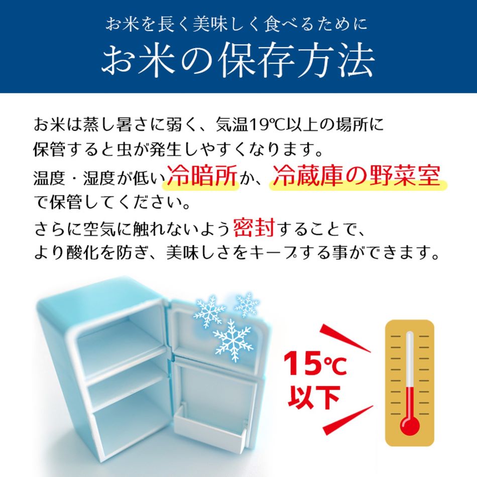 栃木県産 コシヒカリ 10kg | 5kg小分け 新米 米 お米 こめ コメ こしひかり 精米 白米 特A 人気 お買い得 送料無料 限定 栃木県共通返礼品 令和7年産 栃木県産 栃木県 下野市