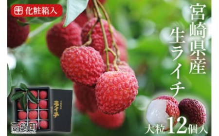 ＜宮崎県産 生ライチ 大粒12個入り＞ 2025年7月上旬～7月下旬迄に順次出荷【c643_mk_x5】