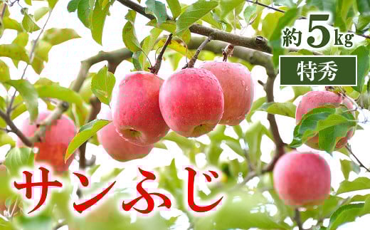 
            【令和7年産先行予約】 りんご 「サンふじ」 約5kg (13～18玉 特秀) パック詰 《令和7年11月中旬～発送》 『マルタニ農園』 リンゴ 山形県 南陽市 [1220]
          