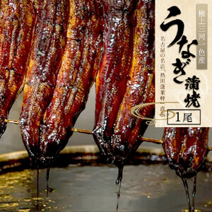 熱田蓬莱軒 直伝 うなぎ蒲焼 1尾 三河一色 うなぎ