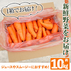 y161 ≪訳あり・数量限定≫湧水町産有機にんじん(約10kg) 国産 九州産 鹿児島産 有機野菜 有機栽培 にんじん 人参 ニンジン キャロットジュース 野菜 やさい おかず 旬 わけあり 訳アリ 
