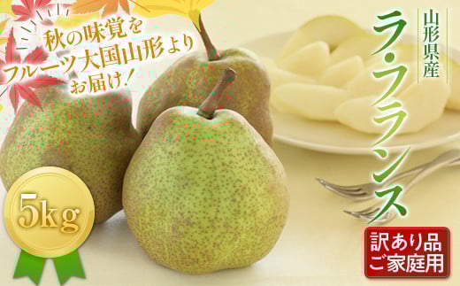 FYN6-430 《2026年先行予約》ご家庭用 山形県産西洋梨 ラ･フランス5kg 2026年11月中旬から順次発送 洋梨 洋なし ラフランス 秋果実 果物 くだもの フルーツ 訳あり 農業者 農家 支援 自宅 家庭 産地直送 山形県 西川町 月山
