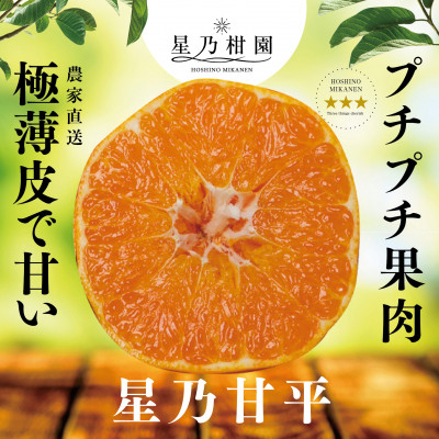 
            星乃みかん園の星乃甘平(3.5kg)＜E45-46＞【1339329】
          