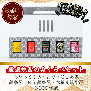 厳選焼酎のみくらべセット(300ml×5本・計1.5L) 芋焼酎 麦焼酎 飲み比べ【岩川醸造】A658
