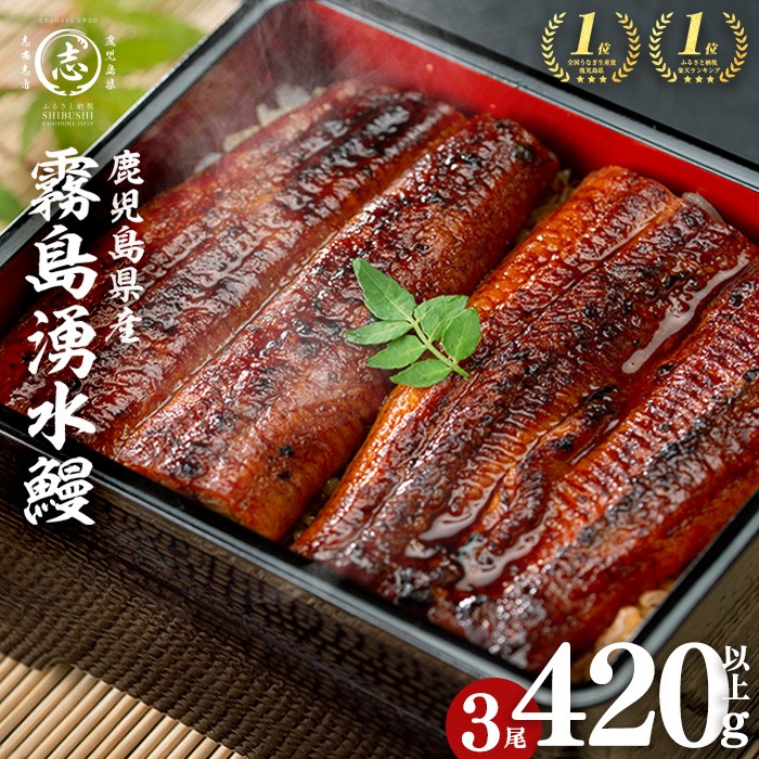 【志布志市人気No.1お礼の品】霧島湧水鰻の蒲焼き 140g以上×3尾＜計420g以上＞ うなぎ 鰻 ウナギ 3尾 国産 九州産 蒲焼き かばやき 冷凍 うな重 ひつまぶし タレ 山椒 ランキング 人