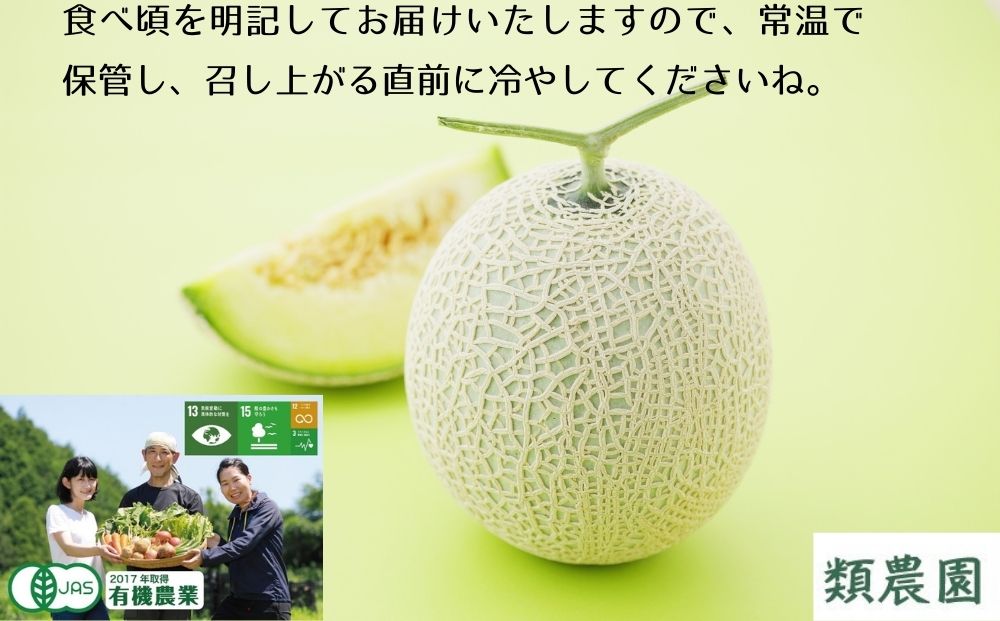 【予約:7月下旬〜8月上旬出荷】有機メロン「甘玉」1玉 ／メ