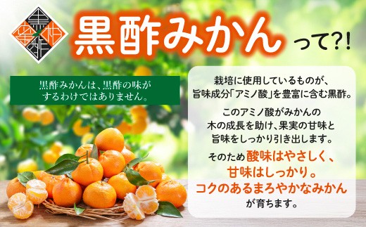 国産 黒酢みかんジュース生搾り100％ 《 720ml 1本 》黒酢みかん 温州みかん 果物 みかん 柑橘 ジュース 飲料 化粧箱入り 贈答用 ギフト お中元 お歳暮 佐賀県 鹿島市 A-257