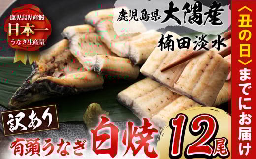 【丑の日までに配送】【訳あり】鹿児島県大隅産！楠田の極うなぎ白焼き 有頭(12尾 計2.1kg以上) 国産 鹿児島県産 鰻 不揃い 大容量 真空 冷凍 白焼き うなぎ 訳あり j0-004-us