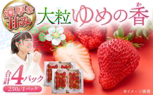 【2026年3月配送】長崎県産 いちご ゆめの香 【大粒】約1kg（250g×4パック）長崎県/わたる農園 [42AABB002] いちご イチゴ 苺 ゆめの香 大粒 果物 くだもの フルーツ お取り寄せ おすすめ 農家 産地 直送