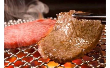 【冷蔵でお届け可】近江牛鉄板・焼肉用特選ロース肉　500g　日本三大和牛 近江牛 ロース 国産牛 霜降り 産地直送  ブランド和牛 近江牛 AJ-0015