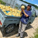 【ふるさと納税】遠藤ファームの中富良野メロン　青肉特大2玉4kg以上