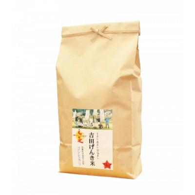 ふるさと納税 雲南市 【毎月定期便】島根県雲南市産　吉田げんき米　コシヒカリ　5kg(5kg×1)全3回 |  | 01