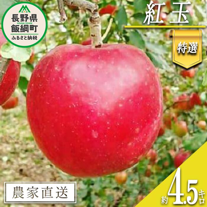 【ふるさと納税】 りんご 紅玉 特選 4.5kg やまじゅうファーム 沖縄県への配送不可 令和7年度収穫分 信州の環境にやさしい農産物 減農薬栽培 長野県 飯綱町 〔 信州 果物 フルーツ リンゴ 林檎 長野 18000円 予約 農家直送 〕発送時期：2025年10月上旬〜2025年10月中旬{***}