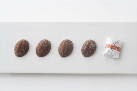 『延寿柿』美濃名産「堂上蜂谷柿」使用の柿菓子
