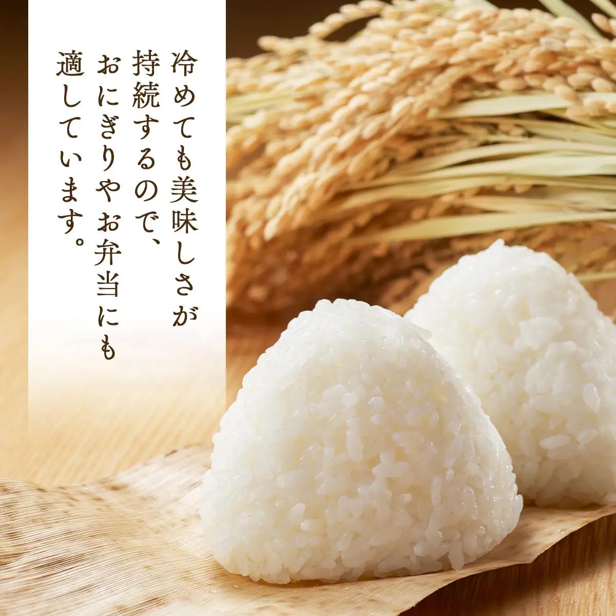 【令和8年産・先行予約】青森県産まっしぐら精米　10kg　【02402-0463】