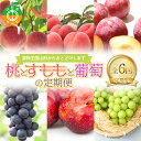 【ふるさと納税】 【定期便 6回】桃とすももと葡萄の定期便 白桃 黄桃 すもも 秋姫 花火 スチューベン シャインマスカット ぶどう 葡萄 果物 フルーツ 山形県 中山町 F4A-0446