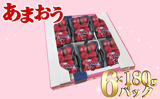【2025年5月より順次発送】福津産『空飛ぶあまおう』約180g×6パック【スカイフローラファーム】[F0155]