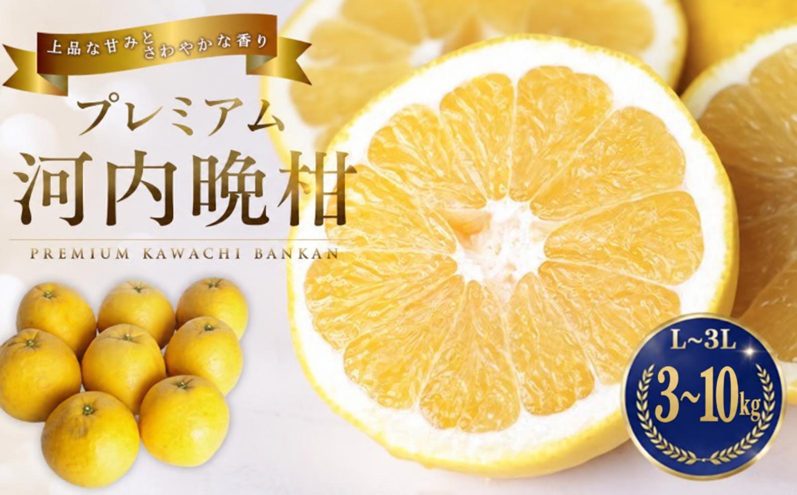 
                  【先行予約】 プレミアム 河内晩柑 選べる内容量 3kg 5kg 10kg L から 3L 優品 贈答用 樹齢 20年 以上 古木 厳選 大玉 果実 特選 直送 和製 グレープフルーツ 愛南ゴールド フルーツ 人気 柑橘 爽やか 甘み ジューシー 果汁 旬の果物 くだもの みかん 産地直送 農園直送 春 デザート ジュース おすすめ 生搾り デザート ゼリー 愛媛県 愛南町 清家ばんかんビレッジ
                