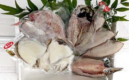 【倉敷市下津井産】おまかせ一夜干し5点セット 4種 天然鯛 干し魚 一夜干し 干物 魚 魚介 海産物 詰め合わせ 食べ比べ セット 岡山県 倉敷市