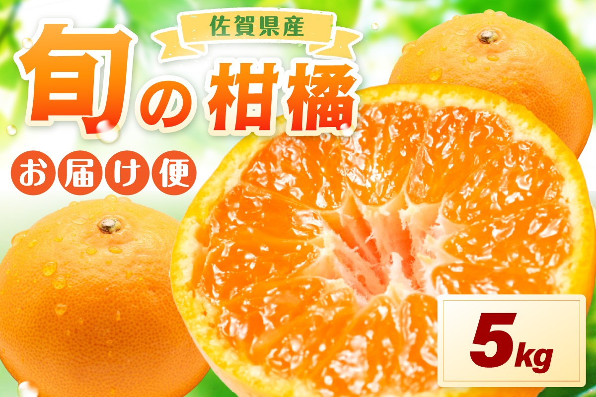 
                  佐賀の旬の柑橘をお届け 佐賀産かんきつ5kg 147-B1210
                