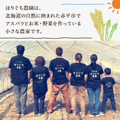 ふるさと納税 赤平市 【発送月固定定期便】ほりぐち農園直送のお米 精米したてゆめぴりか　10kg全3回 |  | 02