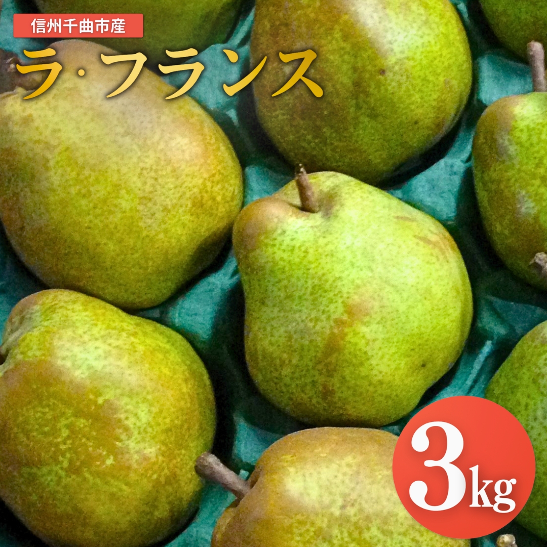 【2026年先行予約】洋梨 ラ・フランス 約3kg｜ ラフランス 洋梨 果物フルーツ デザート 千曲市 長野県産 信州
