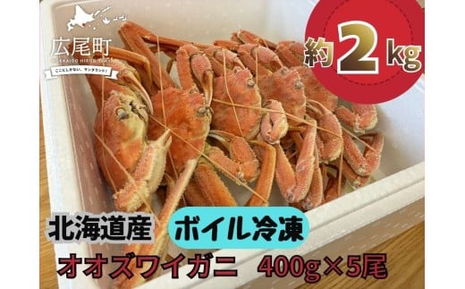 北海道産ボイルオオズワイガニ400g×5尾　合計2kg以上【かに　カニ　蟹　海産物　海鮮　冷凍　ボイル　オオズワイガニ　北海道】(AM0011)