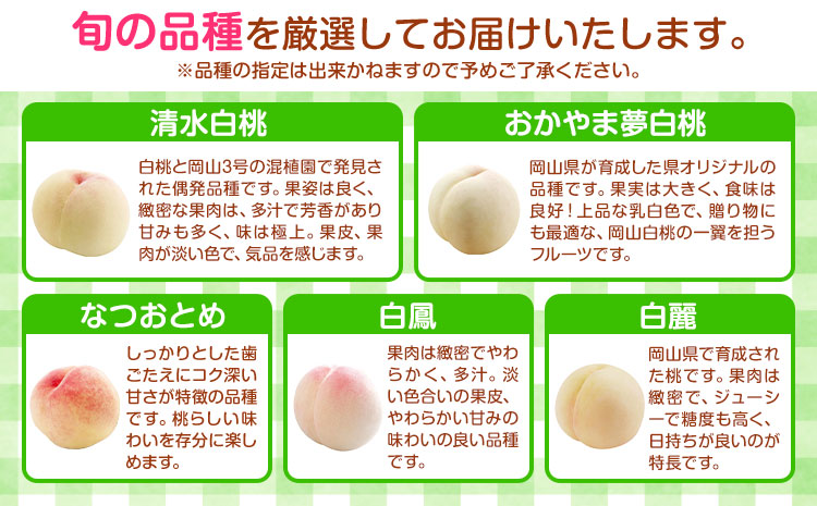 桃 岡山県の旬の白桃 約3.6kg 花田青果株式会社《6月下旬-8月下旬頃出荷予定(土日祝除く)》岡山県 浅口市 白桃 桃 もも 旬 フルーツ 果物【配送不可地域あり】 ---124_c2528_6c