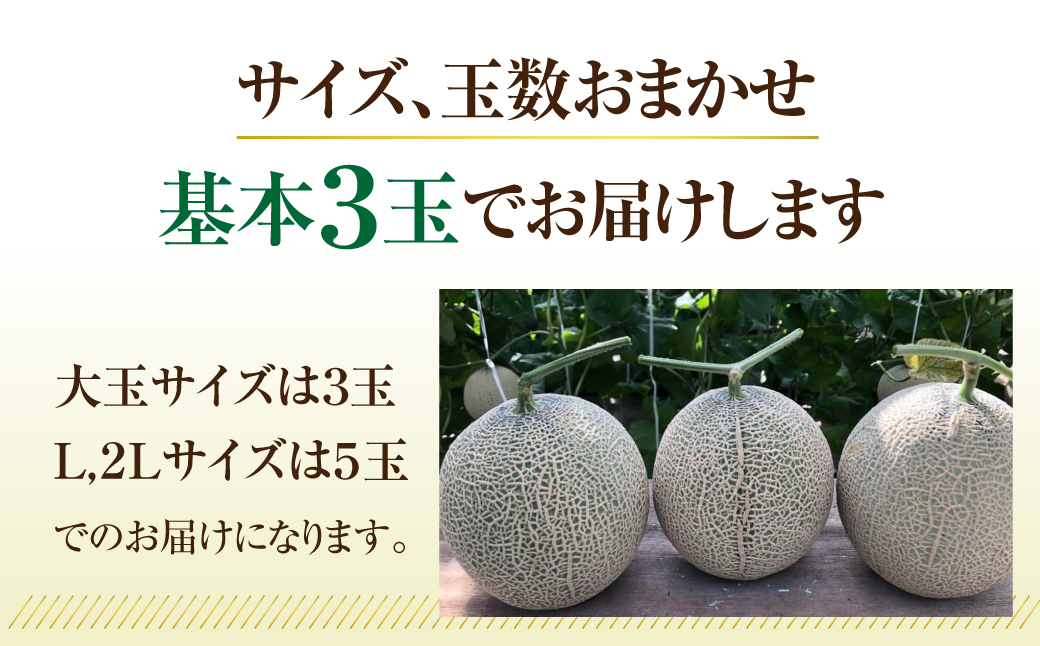 先行予約 訳あり マスクメロン 3玉〜5玉 メロン 野菜ソムリエ推薦 数量限定 渥美半島 伊良湖潮風育ち 田原市 ご自宅用 お取り寄せ 産地直送 送料無料 15000円
