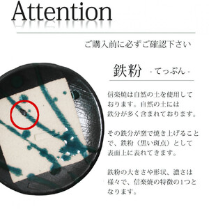 信楽焼 陶器製 雫シリーズ 変形黒皿緑雫大皿 パスタ皿