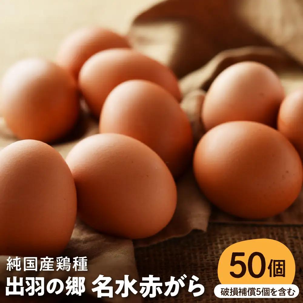 出羽の郷 名水赤がら 50個入（破損補償5個を含む） たまご 卵