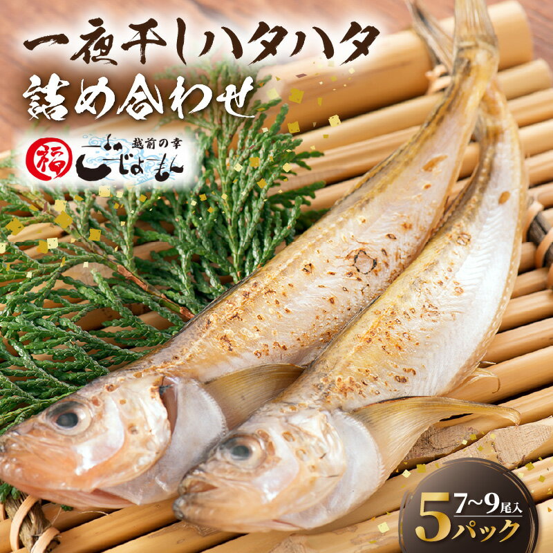 【ふるさと納税】越前産 はたはた 「一夜干しハタハタ詰合わせ（7～9尾入り×5パック）」【越前海岸・美味直送シリーズ】 [e15-a056]