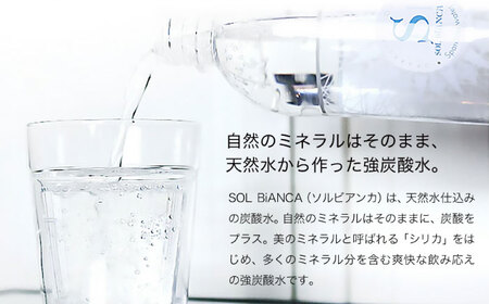 【全8回定期便】シリカ炭酸水 ソルビアンカ 500ml×24本 日田市 / 株式会社OTOGINO[AREF107]