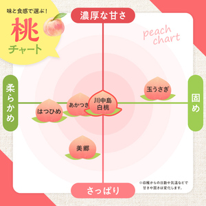 ＜先行予約＞ 福島県産 甘くてジューシー 桃 川中島 白桃 3kg（11玉～14玉） モモ フルーツ 果物 福島県 鏡石町  F6Q-356