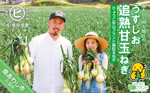 淡路島産玉葱　うずしお追熟甘玉ねぎ　10kg