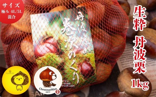 【2026年産先行予約】生粋丹波栗　巻次のくり　極み 4L、5L混合 1.0ｋｇ　プレミアム栗 期間限定 お取り寄せグルメ 高級 特産品 名産品 マロン 関西 西日本