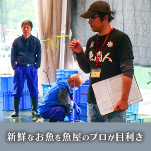 【 フライ 】 フライ鮮魚10切れ
