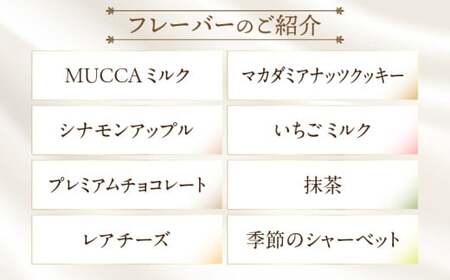 MUCCAジェラート　8個セット_mk024-003