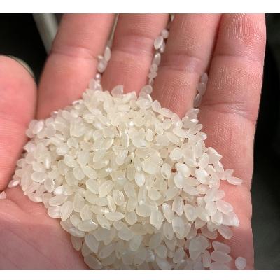 ふるさと納税 中間市 中間市米ぬか産直米　2kg×2個 |  | 01