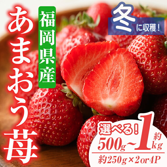 【ふるさと納税】＜容量を選べる・先行予約受付中！2025年11月下旬～2026年1月下旬に順次発送予定＞あまおう苺・冬(計約500g or 1kg)いちご 苺 フルーツ 果物 くだもの 福岡限定 家庭用 冷蔵 ＜離島配送不可＞【ksg0031・ksg0032】【南国フルーツ】