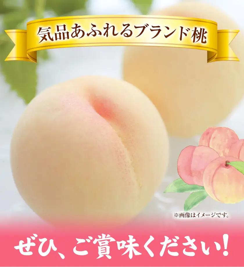 清水白桃 約1.3kg　桃 もも
