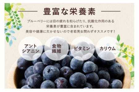 【 2026年 先行予約 】元気に育った ブルーベリー 1.5kg 生 ( 300g 5パック ) 農薬 栽培期間中 不使用 果物 フルーツ 新鮮 1.5キロ 手摘み 国産 産地直送 農家直送 産直 