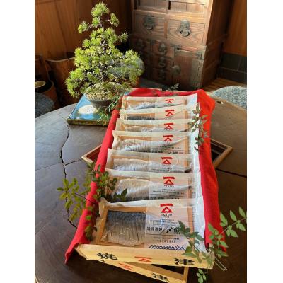 ふるさと納税 焼津市 「水産庁長官賞受賞のしめ鯖7枚セット」国産 さば 贈答(a16-158) |  | 02