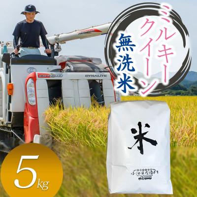 ふるさと納税 鶴岡市 数量限定【令和8年産】山形県庄内産 小池半左衛門のお米 ミルキークイーン【無洗米】5kg