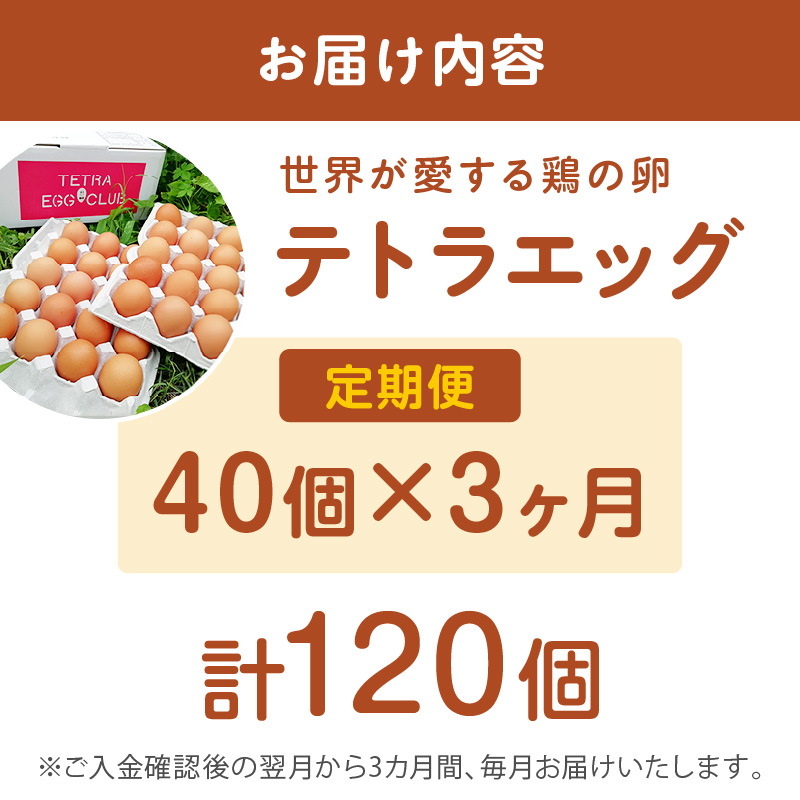 テトラエッグ(40個/月)【3ヵ月定期便】_イメージ5