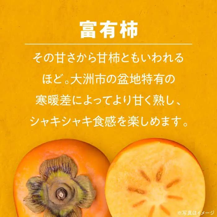早生みかん＋富有柿（各3kg） 富有柿 みかん【11月上旬より順次発送】[AGBN019]